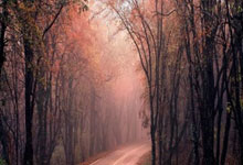 [图]英超-麦迪逊破门加纳乔失良机 曼联0-1不敌热刺.