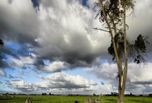 NG体育:女姚明登陆WCBA?山东女篮主帅:球队正与张子宇协商加盟.