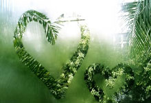 NG体育:全国春季游泳锦标赛第二日:孙佳俊、余依婷摘金.