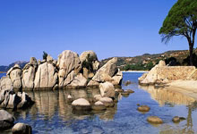 NG体育:17中11砍30分10板6助!广东争议外援如梦初醒,还值得杜锋信任?.